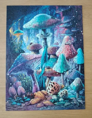 Moonlight mushrooms · photo 1