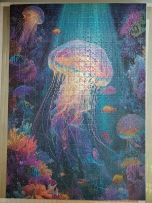 Meduse — photo 1