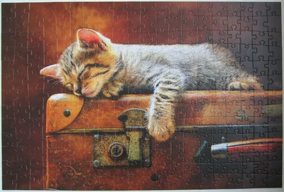 Sweet Dream