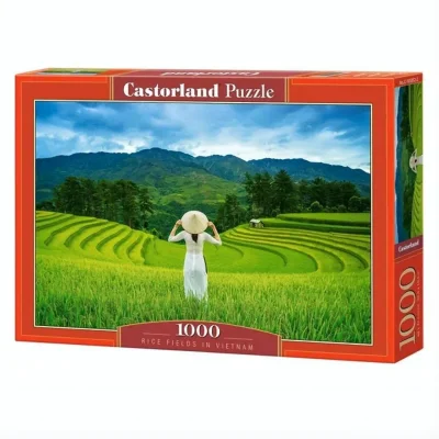 Rice fields in Vietnam