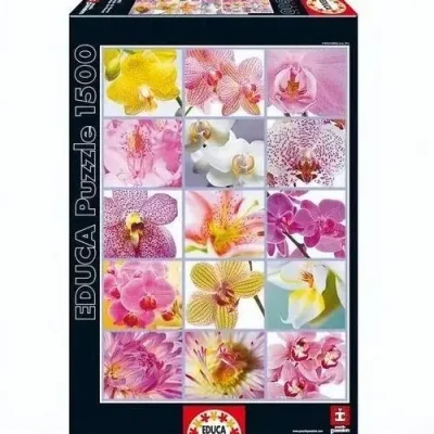 Collage de fleurs