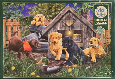 In the Doghouse