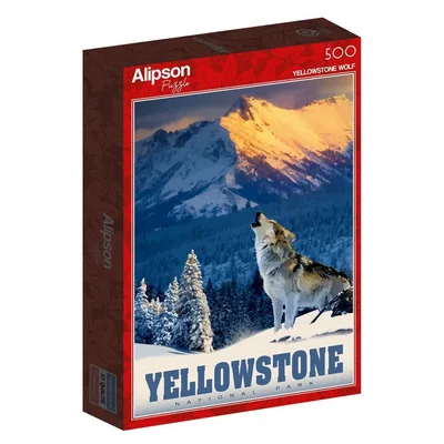 Yellowstone Wolf