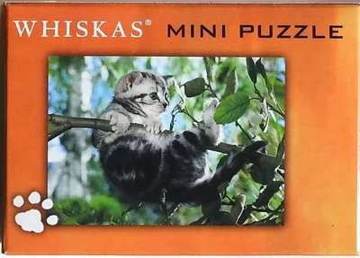 Kitten in Tree