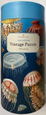 Jellyfish