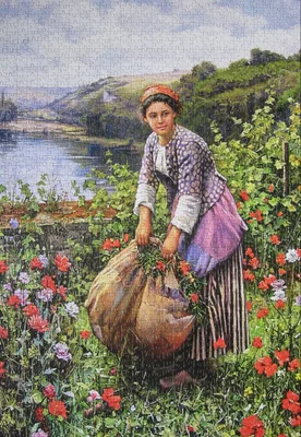 The Grass Cutter