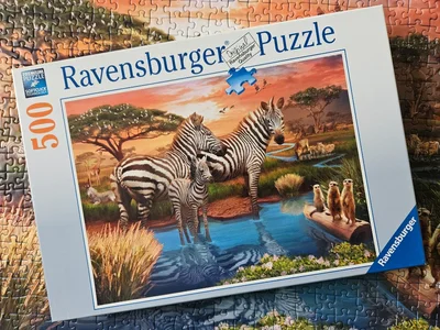 Zebras at Waterhole
