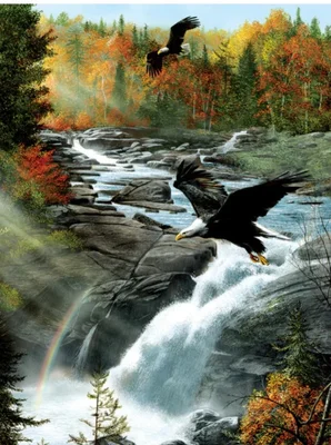 Gooseberry falls