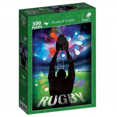 Rugby Stadium