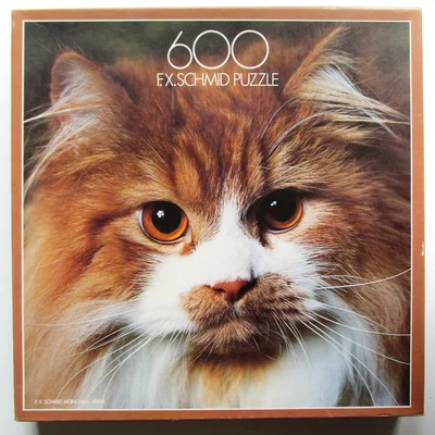 Katze