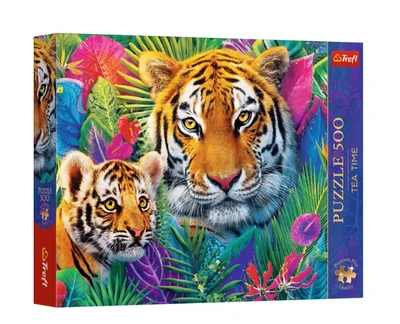 Tigres dans la Jungle