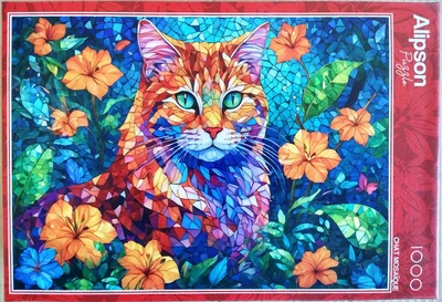 Chat mosaïque