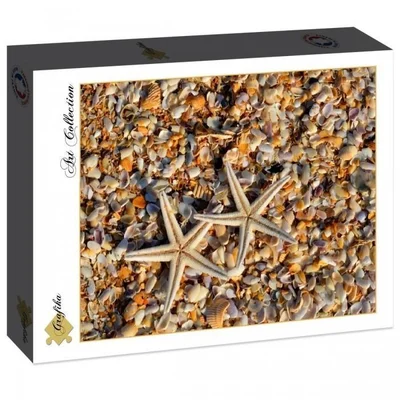 Shells and Starfish