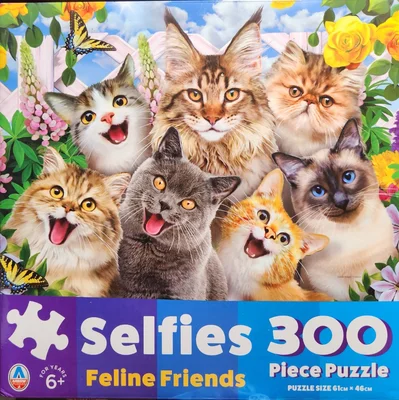 Feline Friends