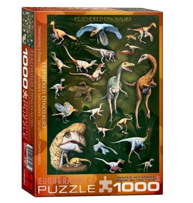 Feathered Dinosaurs