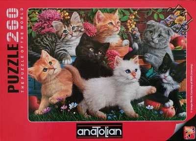 Kittens at Play