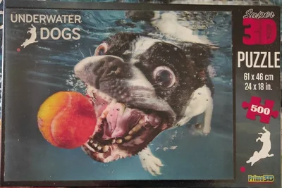 Underwater Dogs