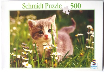 Kitten