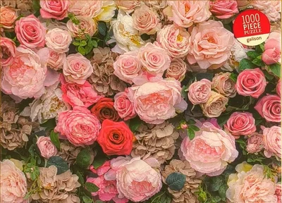 English Roses