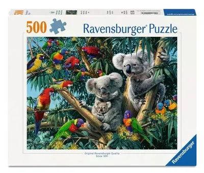 Koalas dans l'arbre