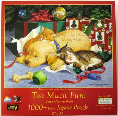 Too Much Fun!