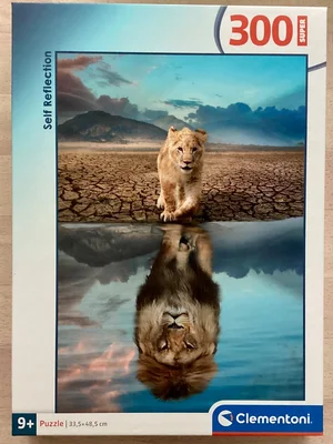 Self Reflection