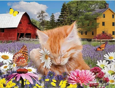 I Wuv Flowers