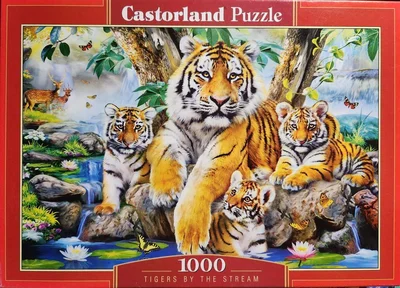 Tigers by the Stream