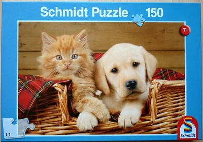 Best Friends