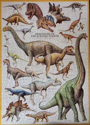 Dinosaurs of the Jurassic Period