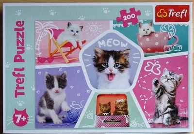 Kittens