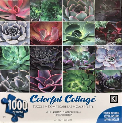 Succulent Plants
