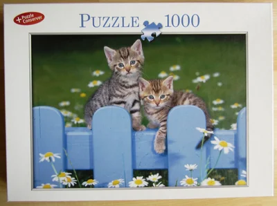Kittens