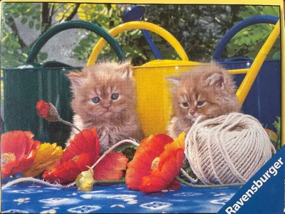 Chatons et coquelicots