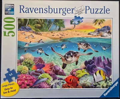 Race of the Baby Sea Turtles
