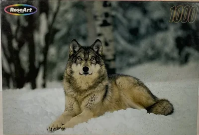 Lone Wolf