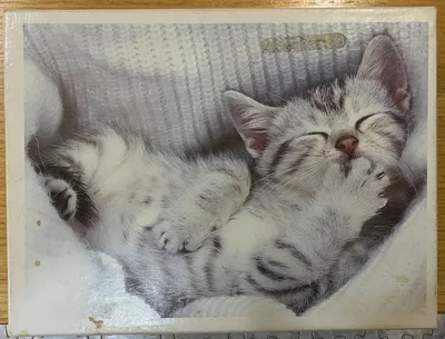 Sleepyhead