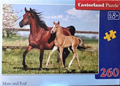 Mare and Foal