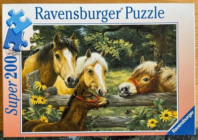 Horse Whispers