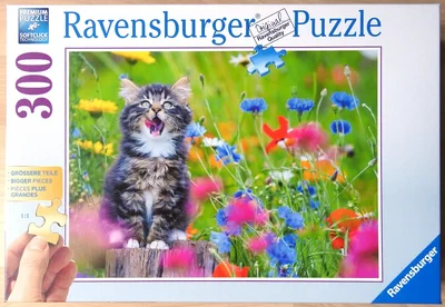Katze im Blumenmeer