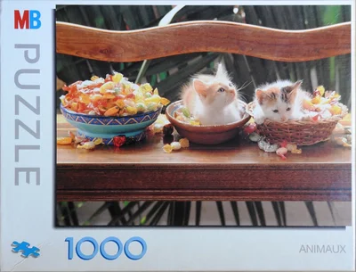 Les chatons