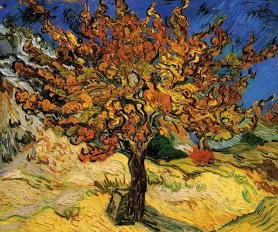 The Mulberry Tree