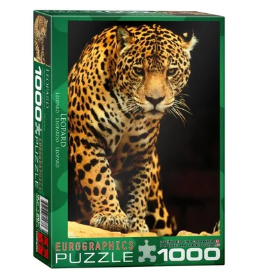 Leopard