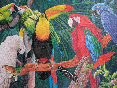 Birds in Paradise