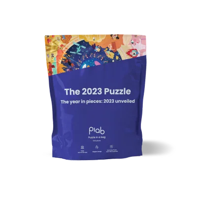 The 2023 Puzzle