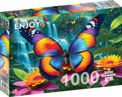 Butterfly in the Forest
