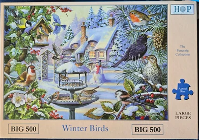 Winter Birds