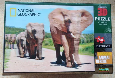 Elephants