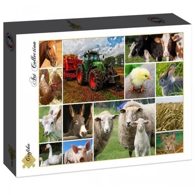 Collage - Farmyard Animals