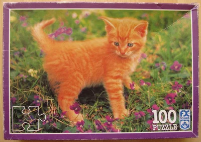 Kitten